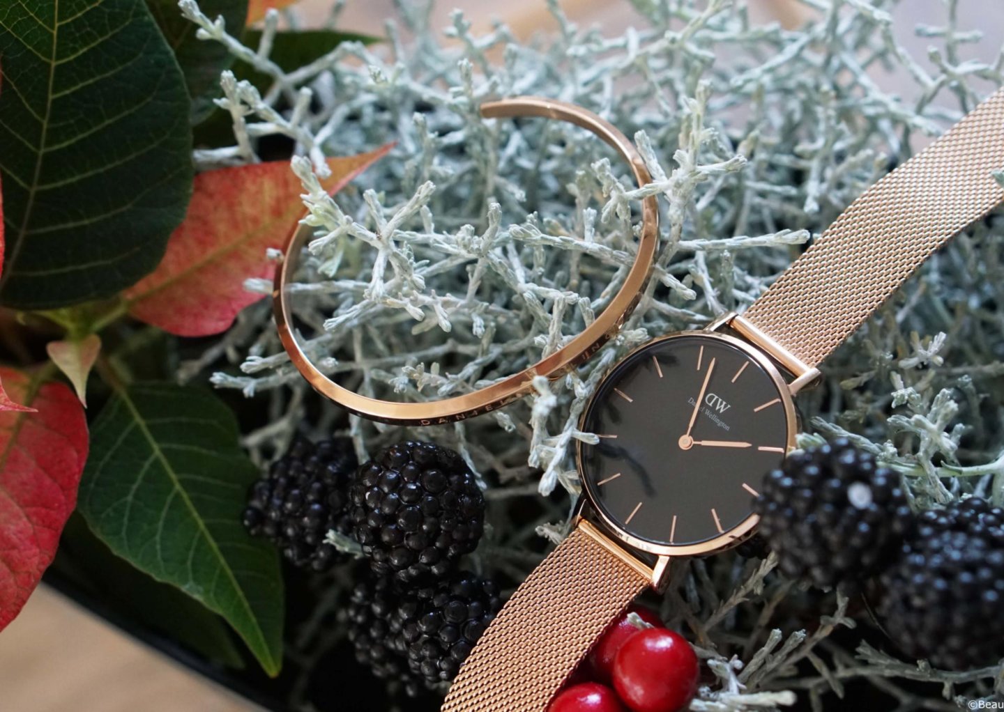 Kortingscode Daniel Wellington Nederland