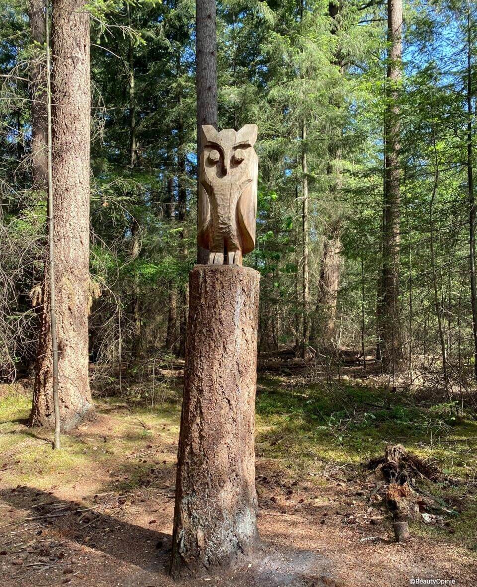 Konijntjes zoeken speelbos nijverdal