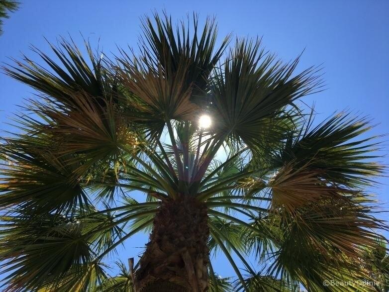 Tips bij een verbrande huid door de zon