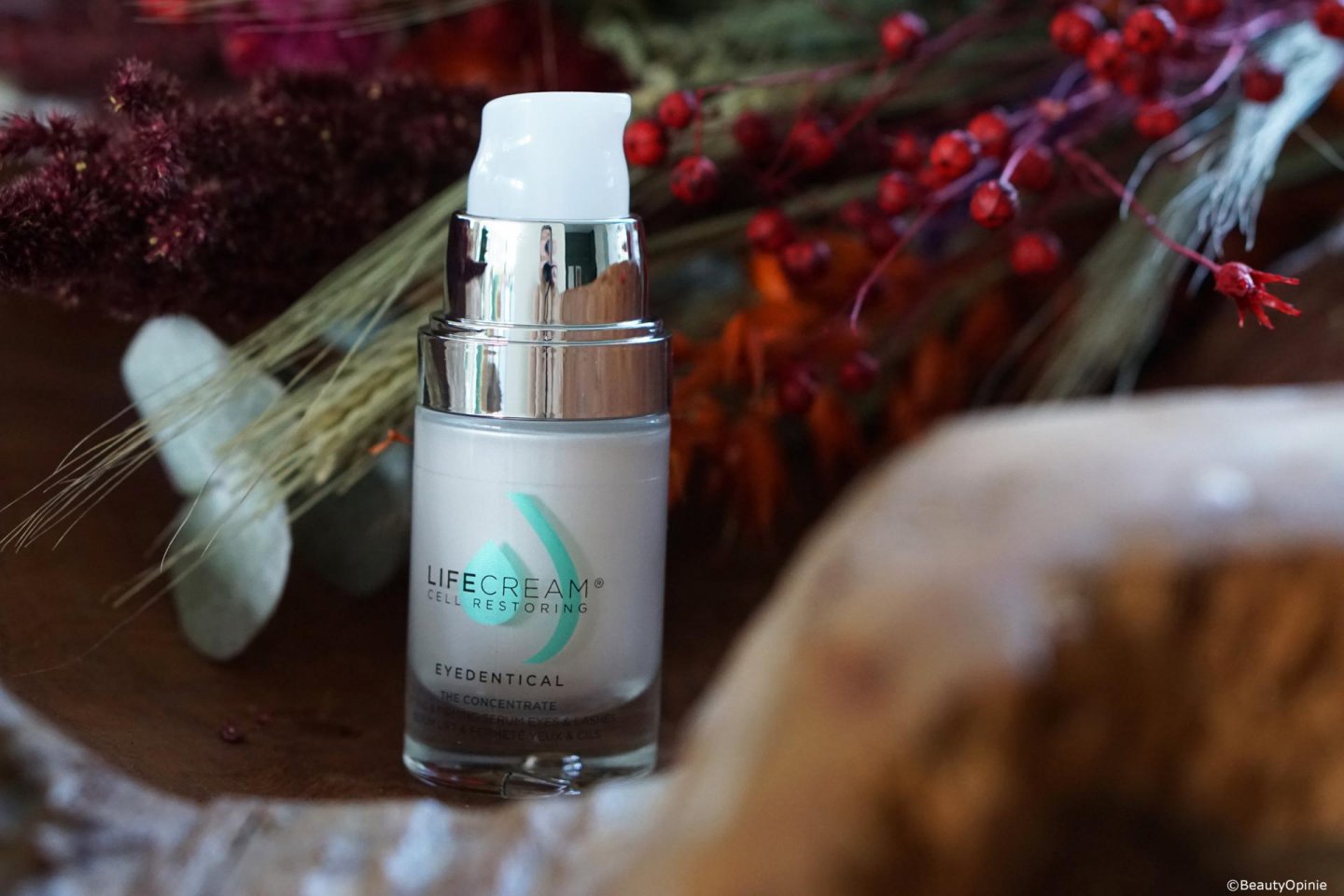 review SBT Cell restoring the concentrate oogserum