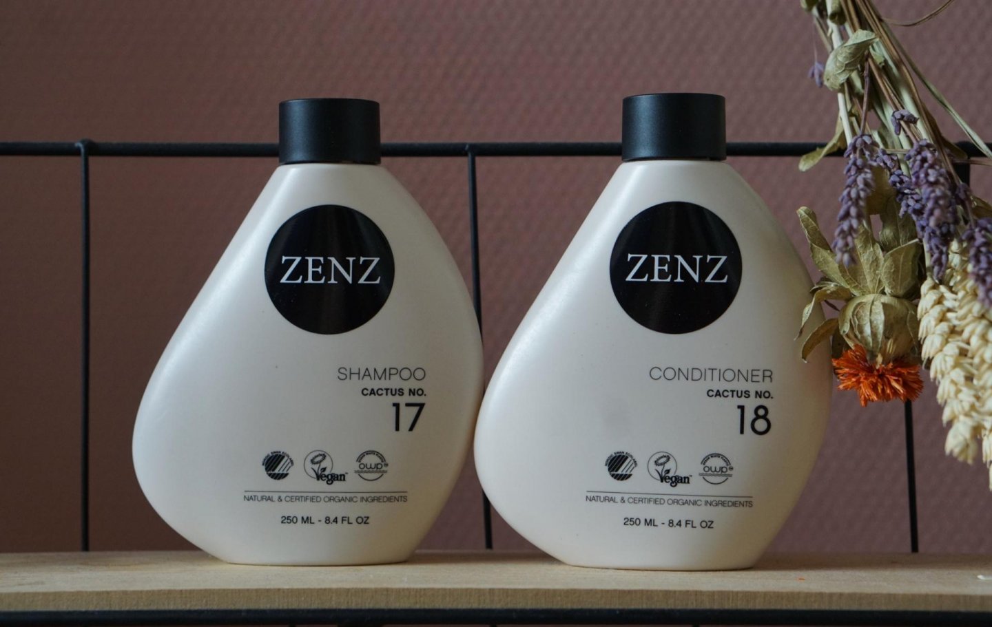 zenz shampoo cactus